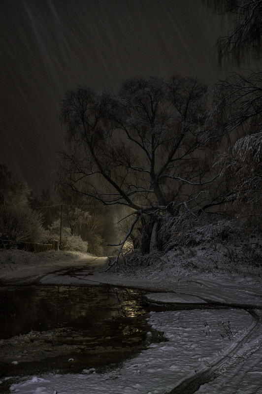 Фотографія А потім пішов сніг... / Олексій Будник / photographers.ua