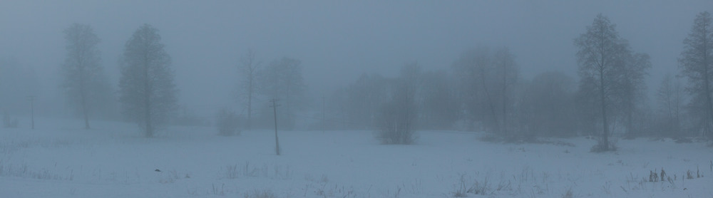Фотографія В холодному тумані / Олексій Будник / photographers.ua