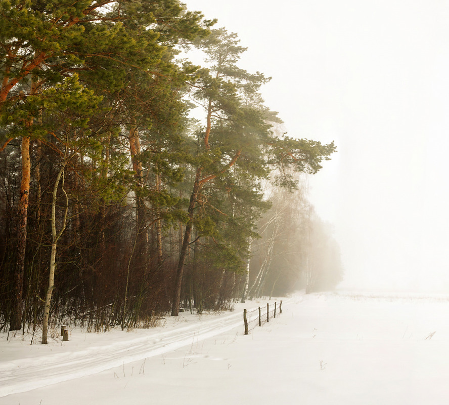 Фотографія Ось і прийшла зима / Олексій Будник / photographers.ua