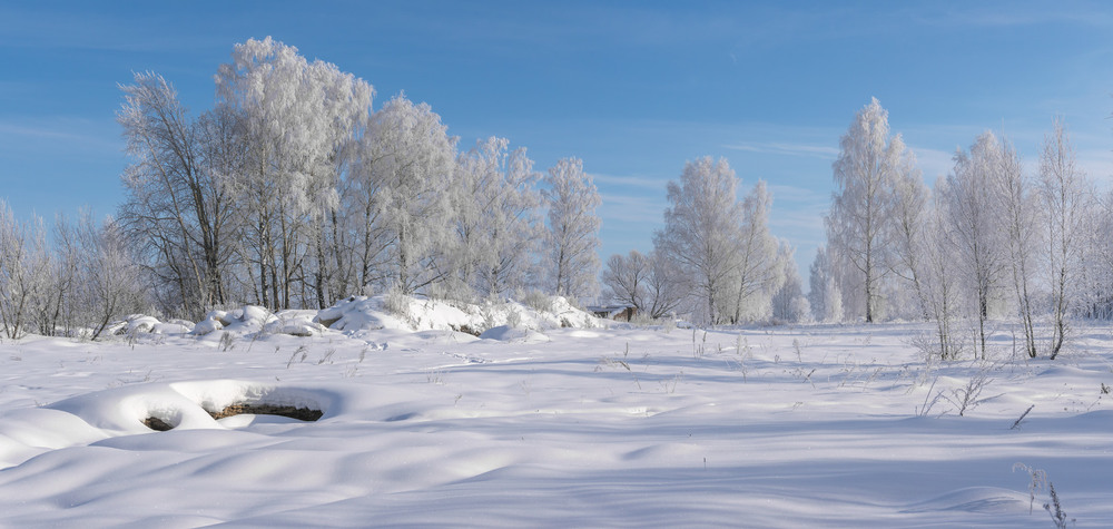 Фотографія Зимовий пейзаж на руінах МТС / Олексій Будник / photographers.ua