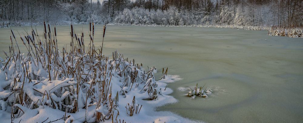 Фотографія Скоріш би повернулася зима... / Олексій Будник / photographers.ua