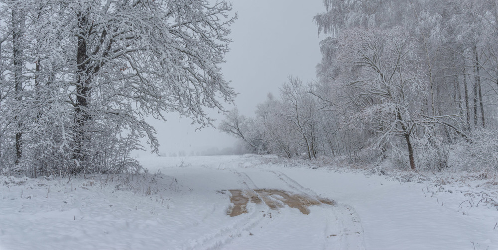 Фотографія Перший сніг 2020 ІІ / Олексій Будник / photographers.ua