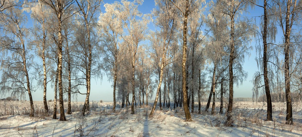 Фотографія Зимова панорамка / Олексій Будник / photographers.ua