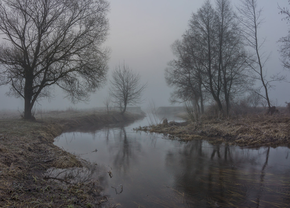 Фотографія Весняні тумани / Олексій Будник / photographers.ua