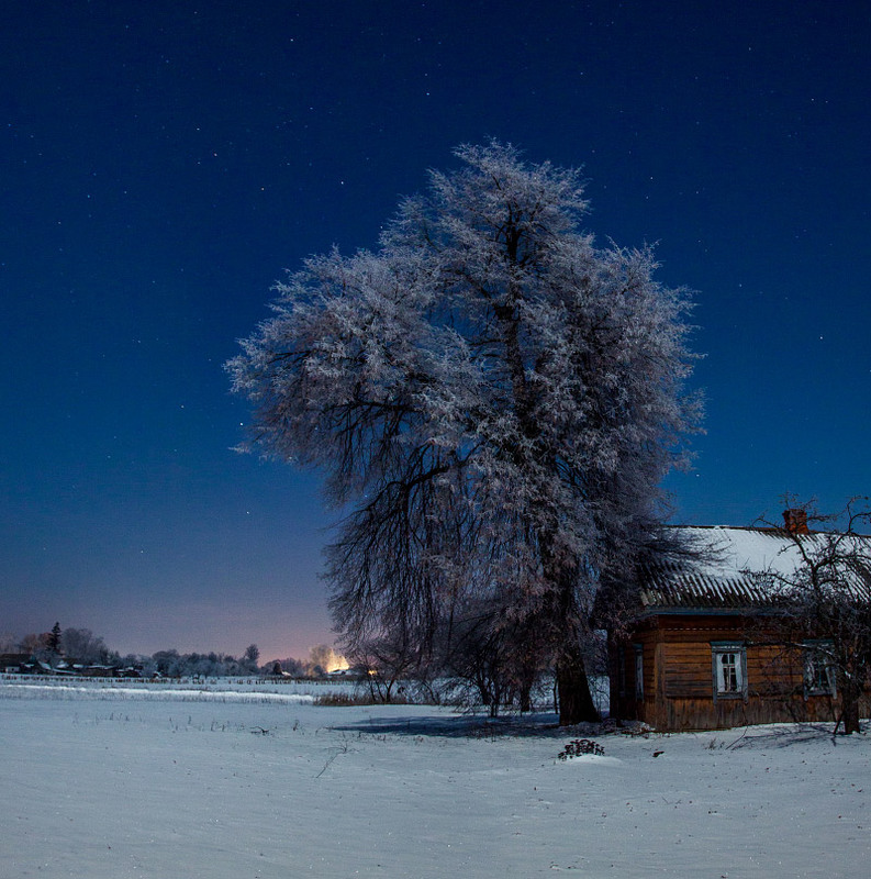 Фотографія Зимовий вечір в рідному селі / Олексій Будник / photographers.ua