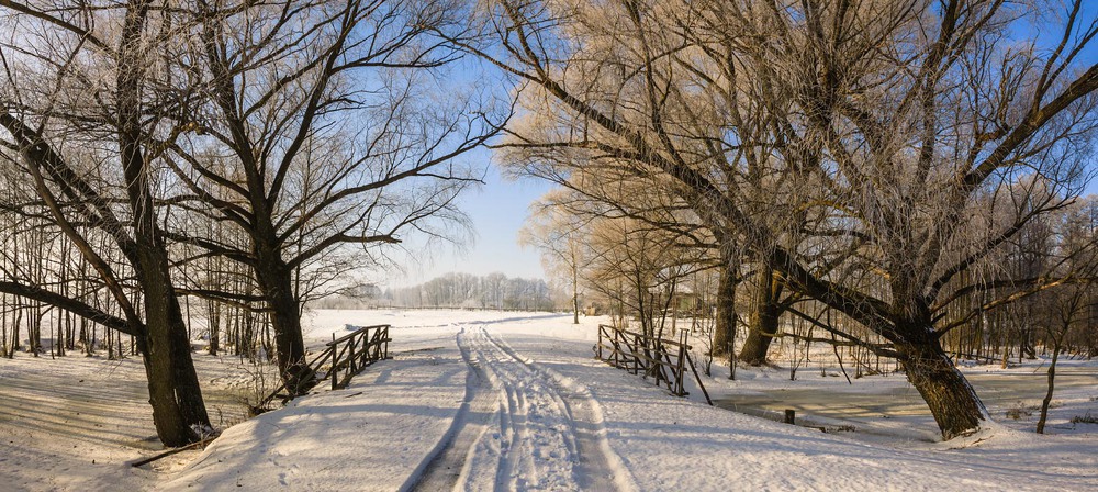 Фотографія Зимовим днем гуляючи селом... / Олексій Будник / photographers.ua