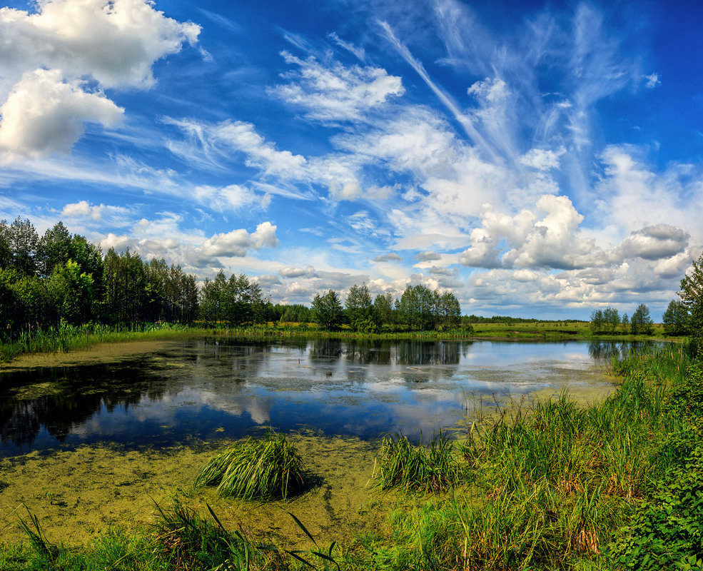 Фотографія озерце Гатка / Олексій Будник / photographers.ua
