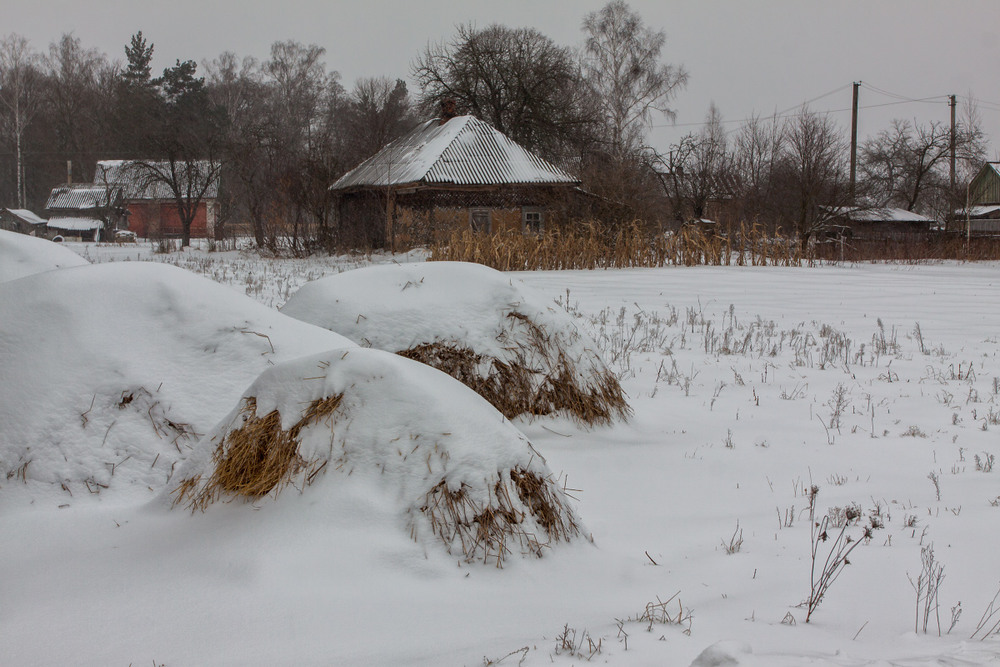 Фотографія Зима в селі / Олексій Будник / photographers.ua