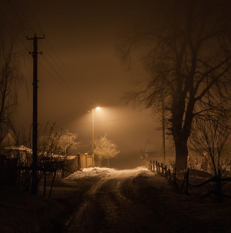 Фотографія Прогулянки в тумані / Олексій Будник / photographers.ua