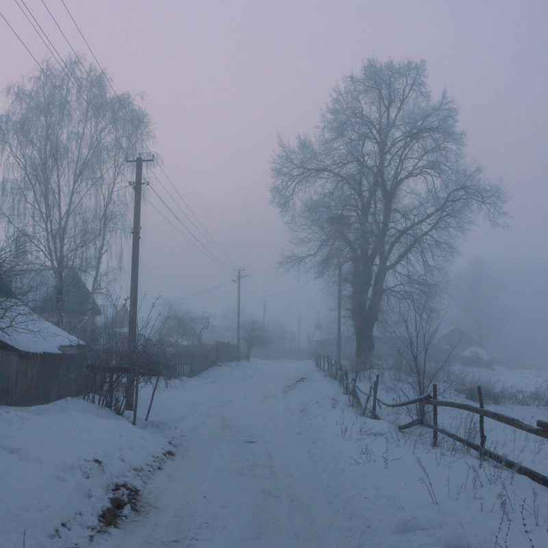 Фотографія Туманний ранок січня 2 / Олексій Будник / photographers.ua