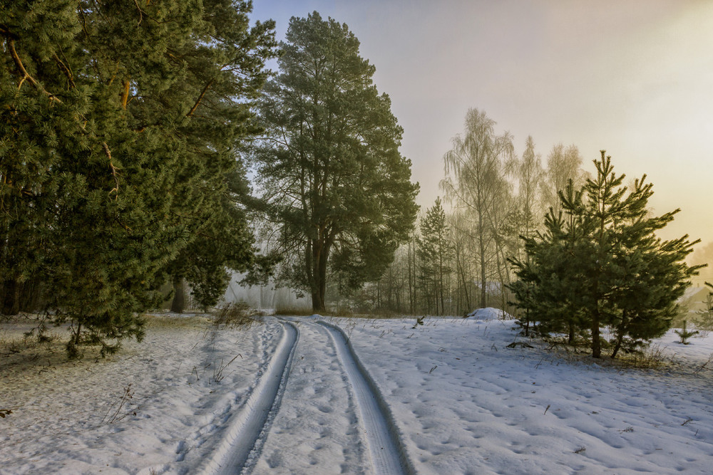 Фотографія Пригрівае сонечко... / Олексій Будник / photographers.ua