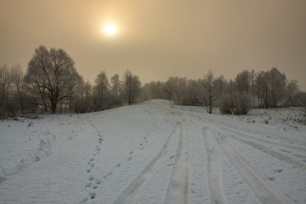 Фотографія ...Пасмурно з проясненнями місцями туман ... / Олексій Будник / photographers.ua