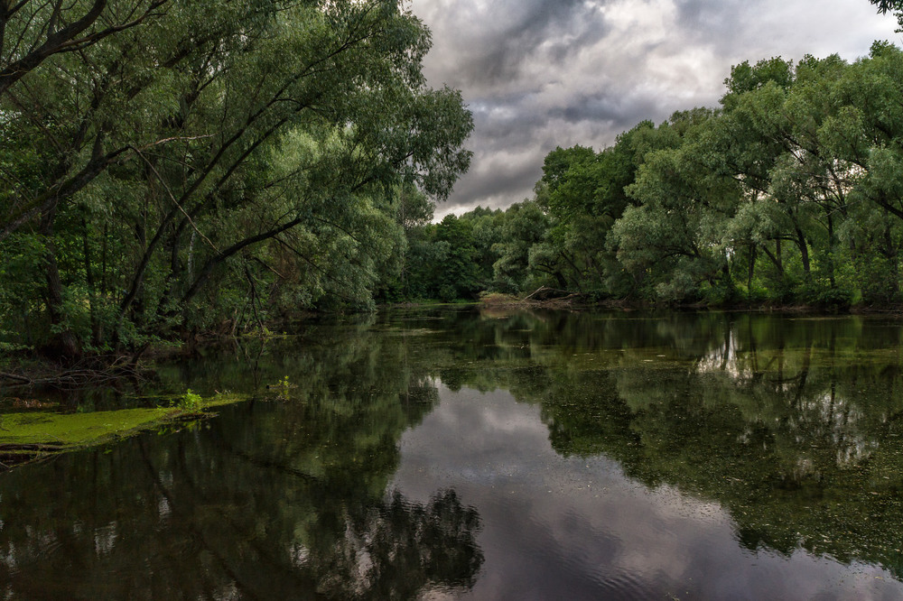 Фотографія Про ще одне загублене озерце... / Олексій Будник / photographers.ua