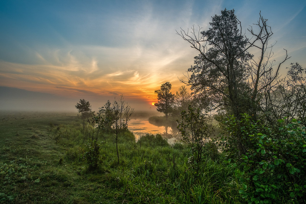 Фотографія Схід сонця над річкою Смяч / Олексій Будник / photographers.ua