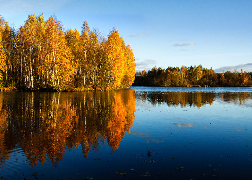 Фотографія Осень на пруду / Олексій Будник / photographers.ua