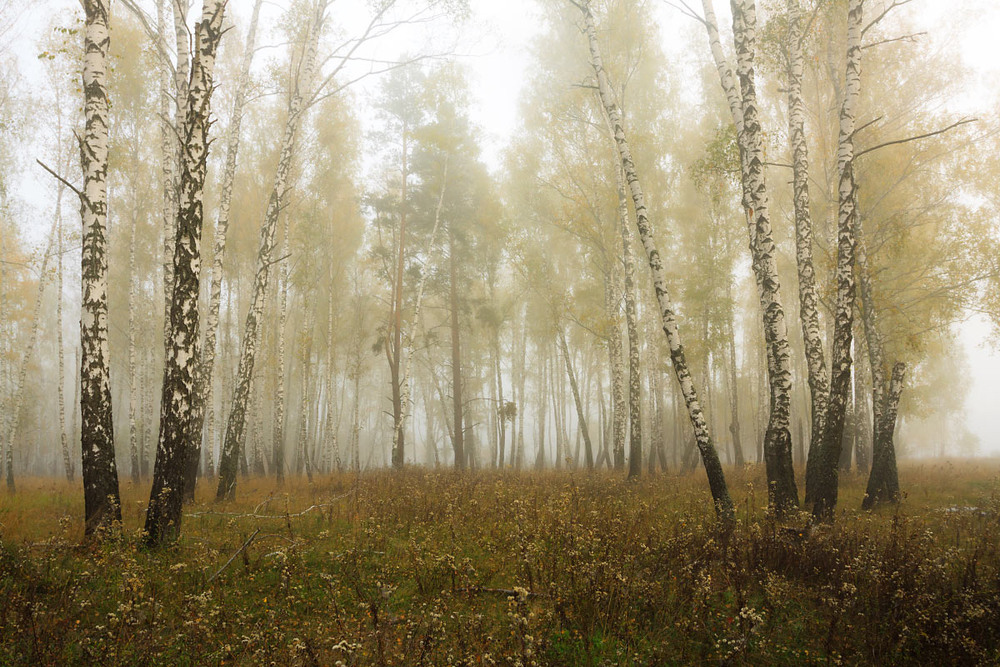 Фотографія Єх...осінь... / Олексій Будник / photographers.ua