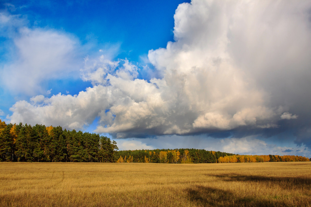 Фотографія Пливуть хмаринки дощові... / Олексій Будник / photographers.ua