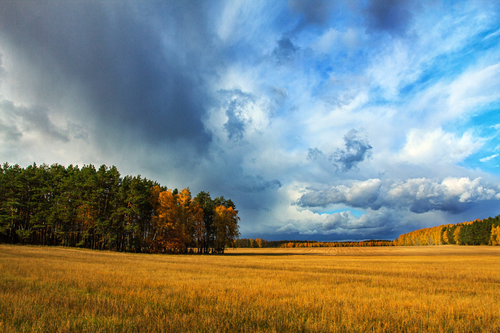 Фотографія Пливуть хмаринки дощові...2 / Олексій Будник / photographers.ua