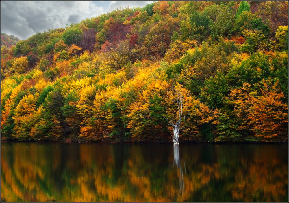 Фотографія Яркие краски осени / Артур Макаров / photographers.ua