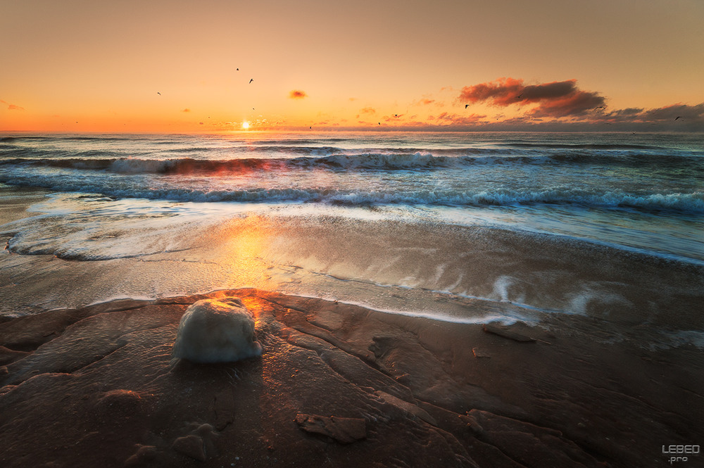 Фотографія Зимний пляж / Victor Lebed / photographers.ua