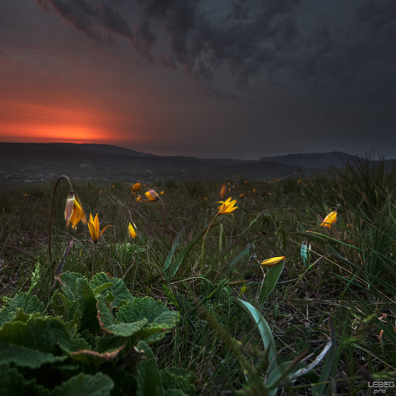 Фотографія Пейзаж / Victor Lebed / photographers.ua