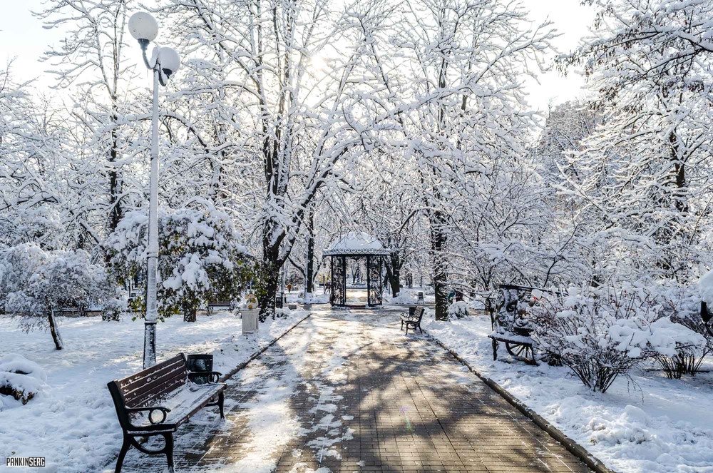 Фотографія Зима в сквере / Pankin Serg / photographers.ua