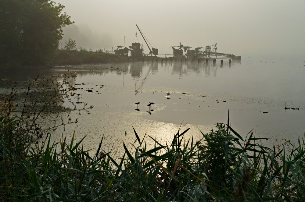 Фотографія Туман ранкового озера / Олександр Санін / photographers.ua