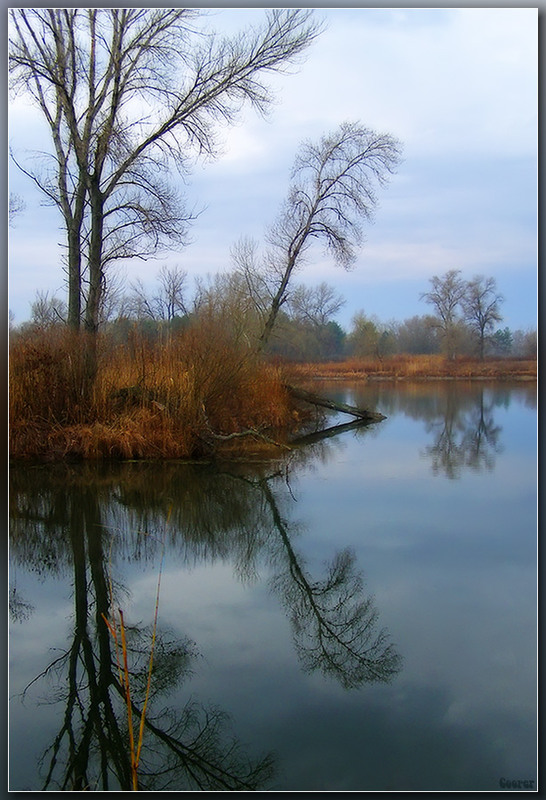 Фотографія Раннее утро на озере / Александр Куприянов / photographers.ua