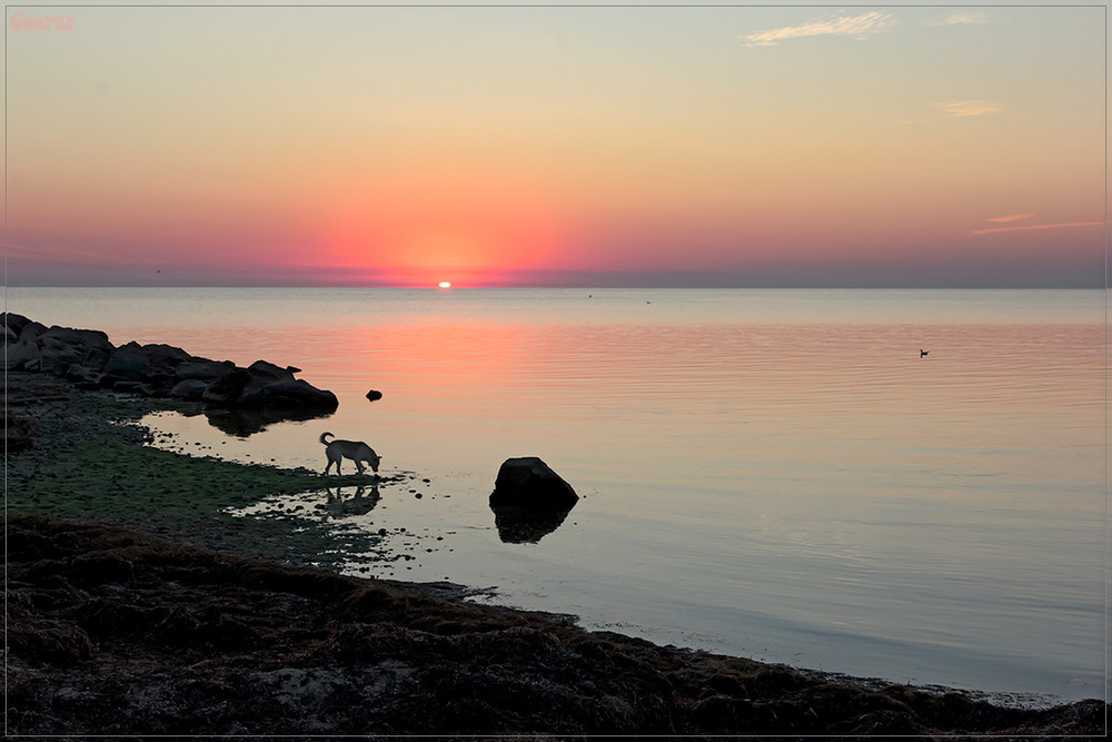 Фотографія Рассвет на Азовском море в городе Геническ / Александр Куприянов / photographers.ua