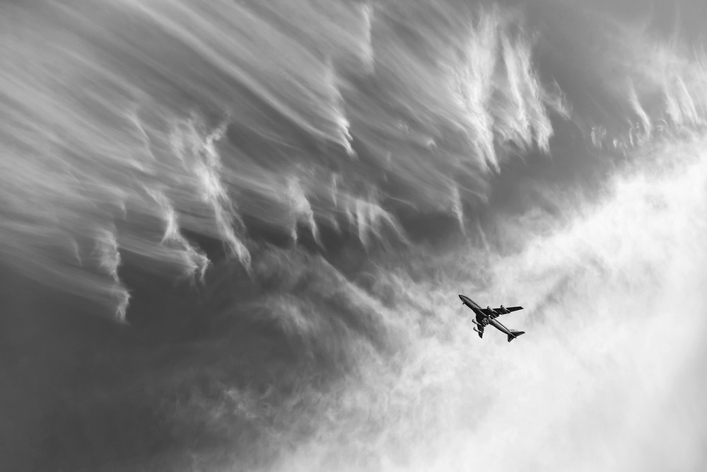 Фотографія Aircraft. Above the ground / Prysyazhnyy Oleksiy / photographers.ua