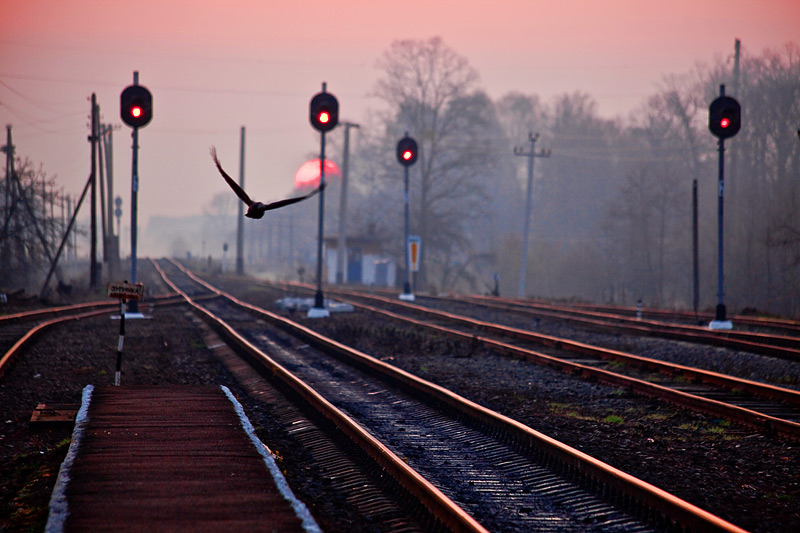 Фотографія Куда уходят поезда... / Сергей Гошко / photographers.ua