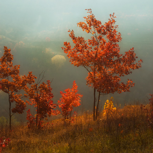 Фотографія Осенний мотив 2 / Сергей Гошко / photographers.ua