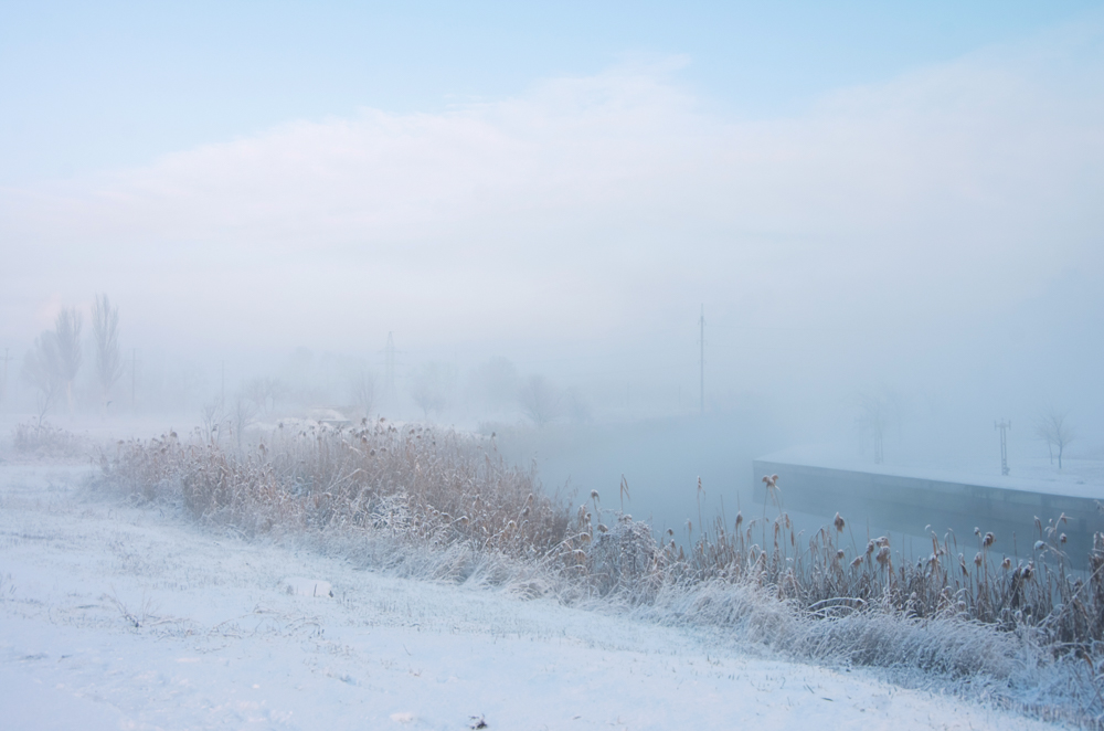 Фотографія Проснуться с туманом / Анна Иванова / photographers.ua