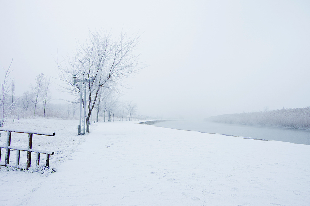 Фотографія Белый туман / Анна Иванова / photographers.ua