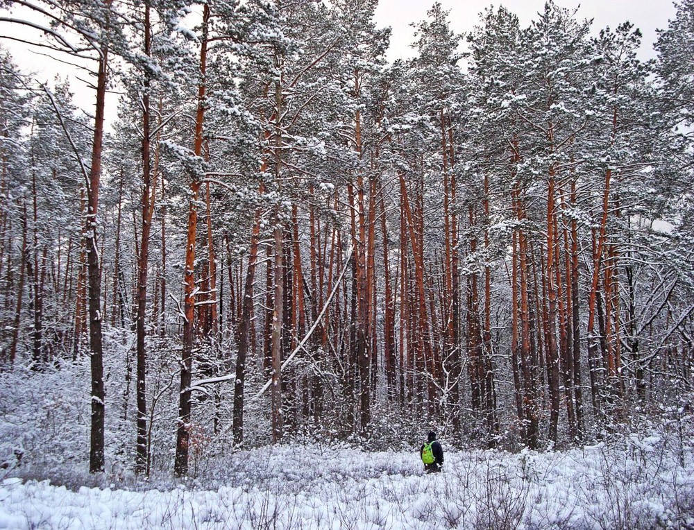 Фотографія A man in winter forest / Masha Kovalchuk / photographers.ua