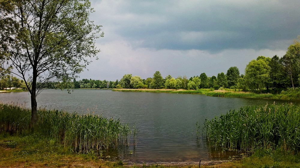 Фотографія Перед ливнем / Masha Kovalchuk / photographers.ua