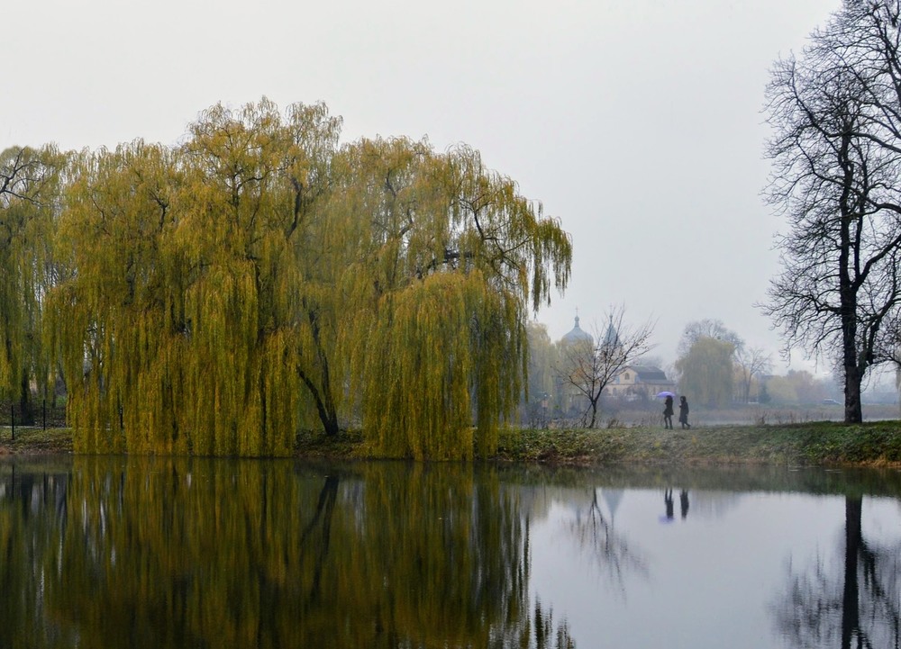Фотографія Прогулянка над озером / Masha Kovalchuk / photographers.ua
