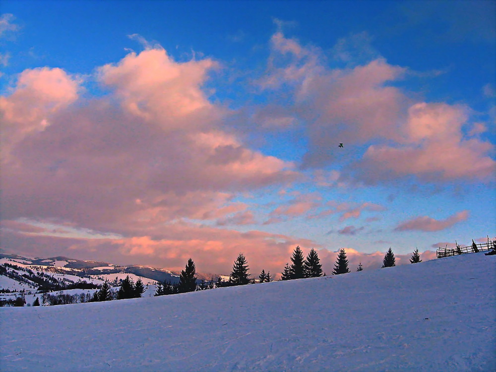 Фотографія Краски зимнего заката. Одинокий дельтапланерист / Viktoria / photographers.ua