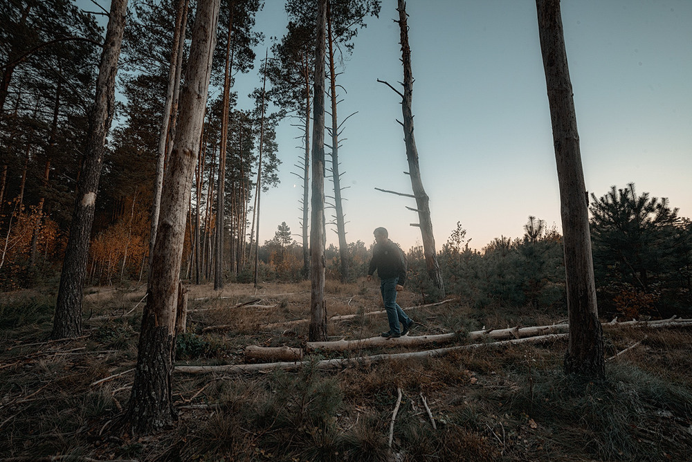 Фотографія "Город - калечит, лес лечит... " . / Чорный Александр / photographers.ua