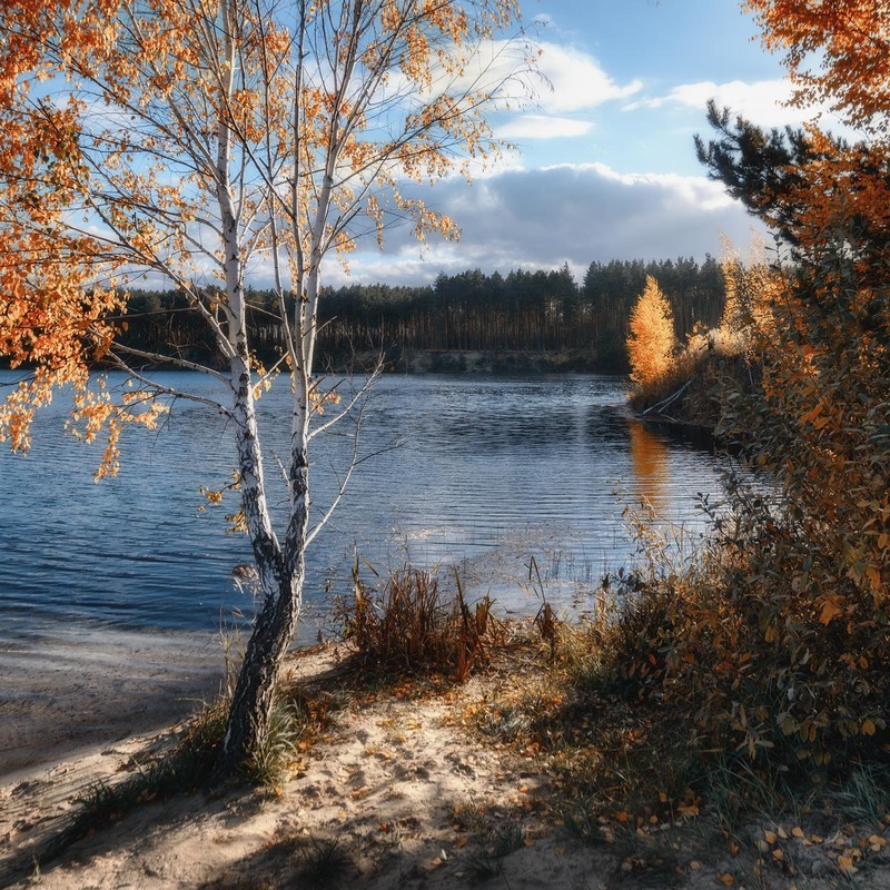 Фотографія И, замерев, в тени её стоять / Чорный Александр / photographers.ua