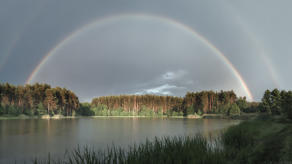 Фотографія *** / Чорный Александр / photographers.ua