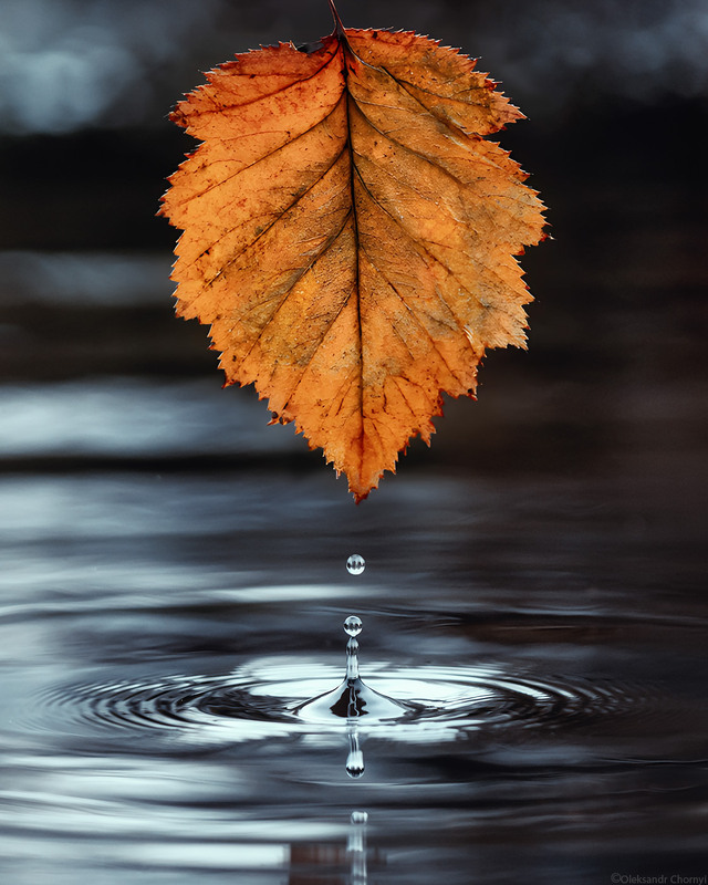 Фотографія "Точка покоя" / Чорный Александр / photographers.ua