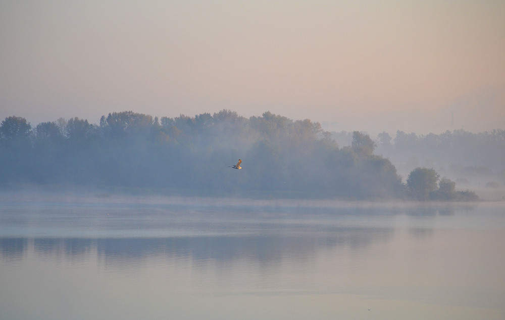 Фотографія **** / Віктор Чернецький / photographers.ua