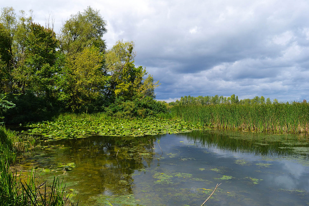 Фотографія **** / Віктор Чернецький / photographers.ua