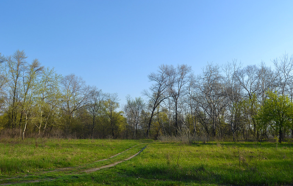 Фотографія **** / Віктор Чернецький / photographers.ua