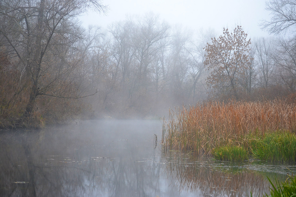Фотографія **** / Віктор Чернецький / photographers.ua