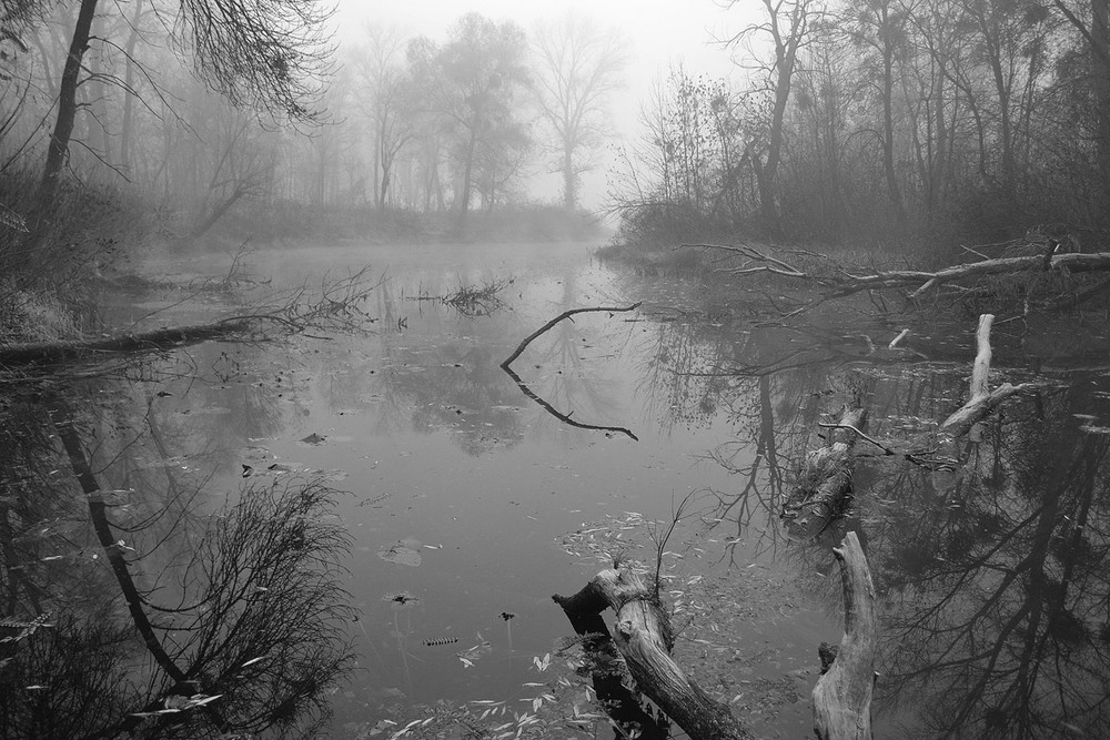 Фотографія **** / Віктор Чернецький / photographers.ua