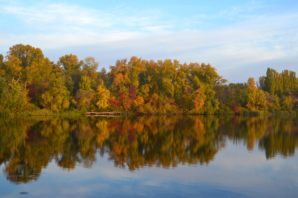 Фотографія **** / Віктор Чернецький / photographers.ua