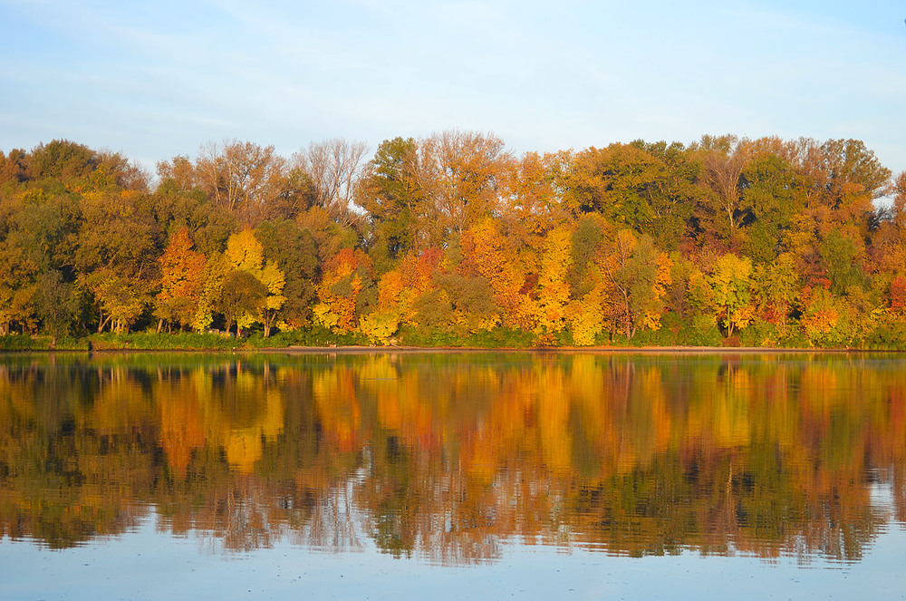 Фотографія **** / Віктор Чернецький / photographers.ua