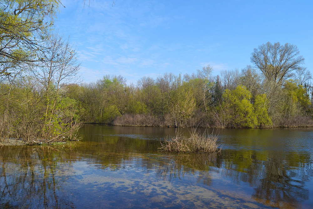 Фотографія **** / Віктор Чернецький / photographers.ua
